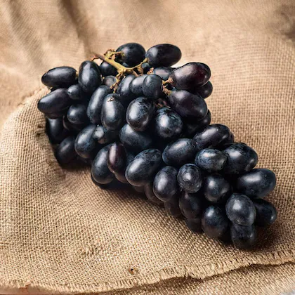 Black Sweet Seedless Indian Grapes 