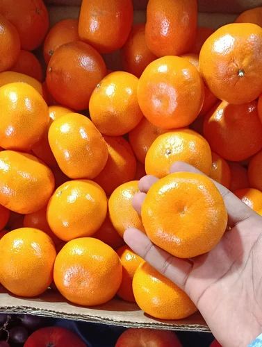 Baby Oranges 
